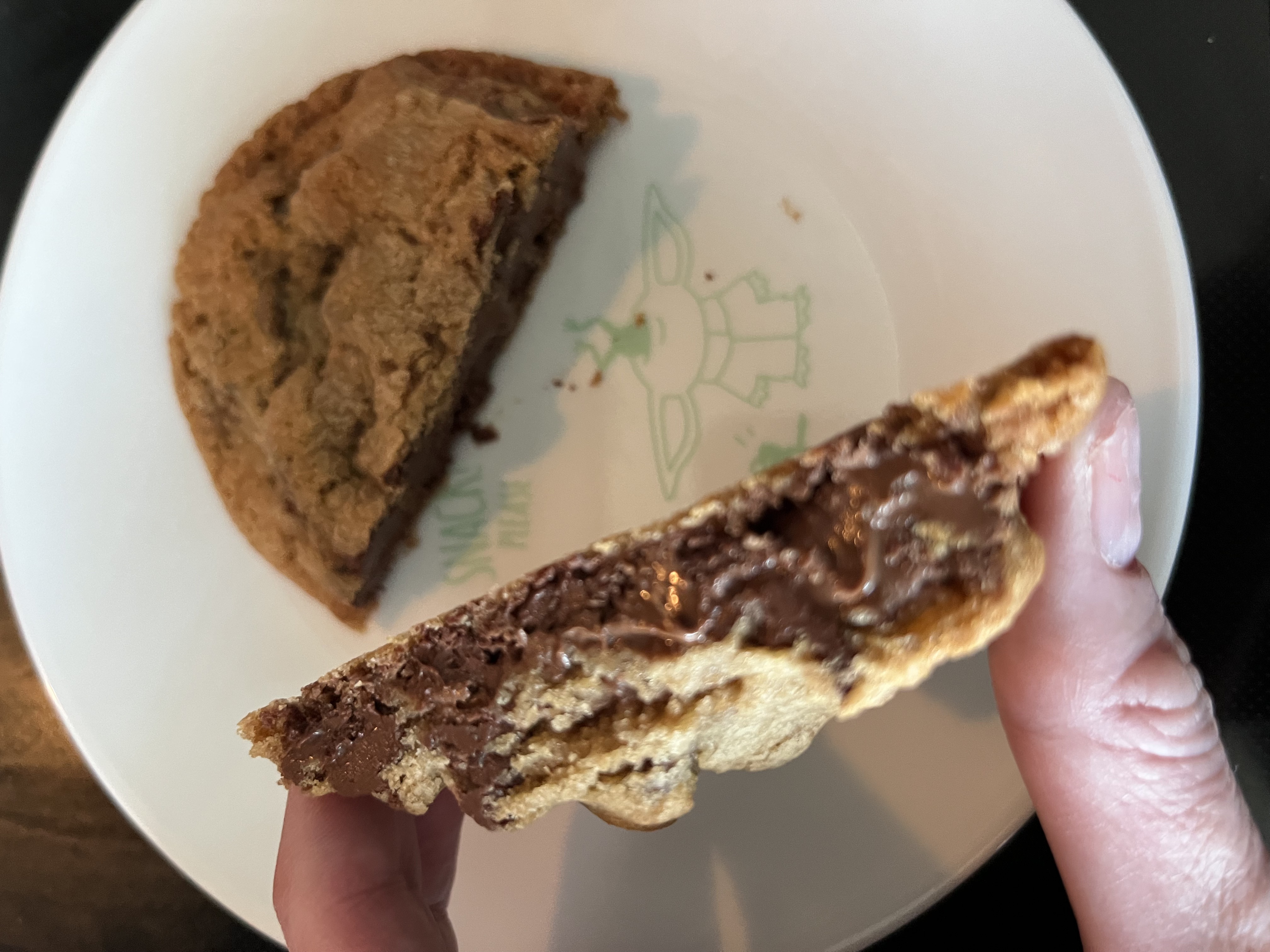 Luxury molten-center stuffed cookies in Ruskin, Florida